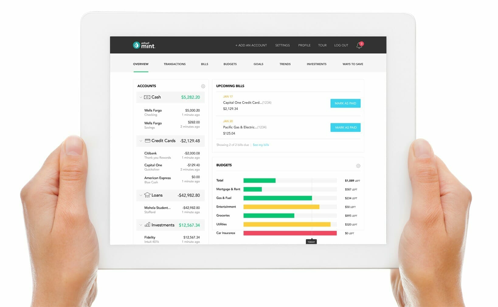 mint-overview