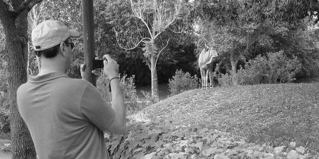 fun-things-to-do-for-free-zoo