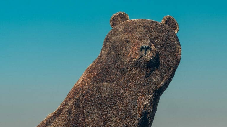 Surviving a Bear Attack: What to Do During a Bear Market