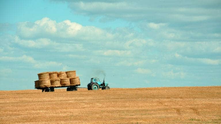 Using Tax-Loss Harvesting to Improve Your Returns