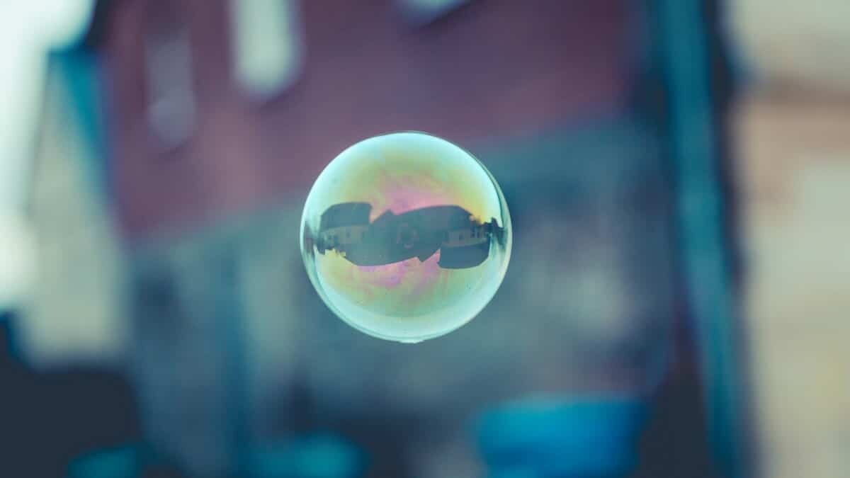 Economic Bubbles