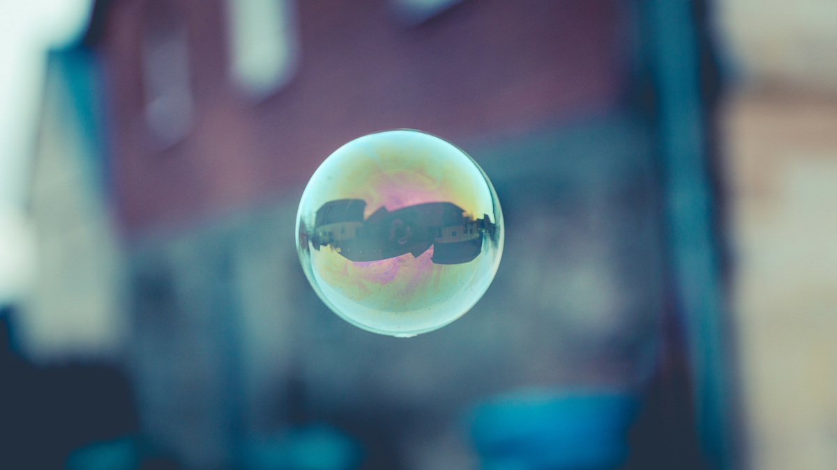 Understanding Economic Bubbles
