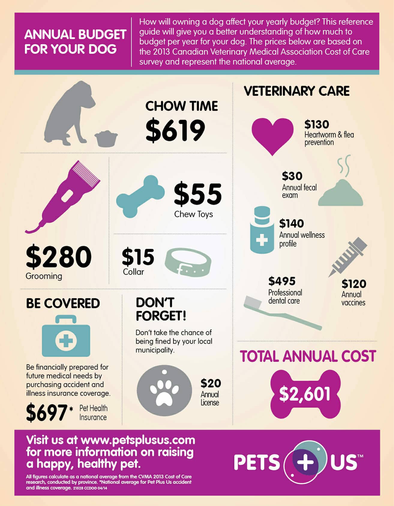 Breakdown of the annual budget for owning a dog