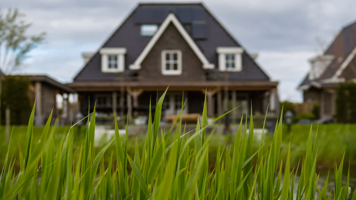 home behind blades of grass