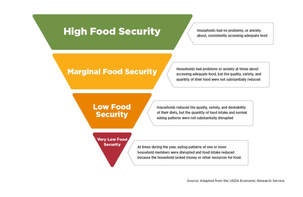 Food insecurity pyramid