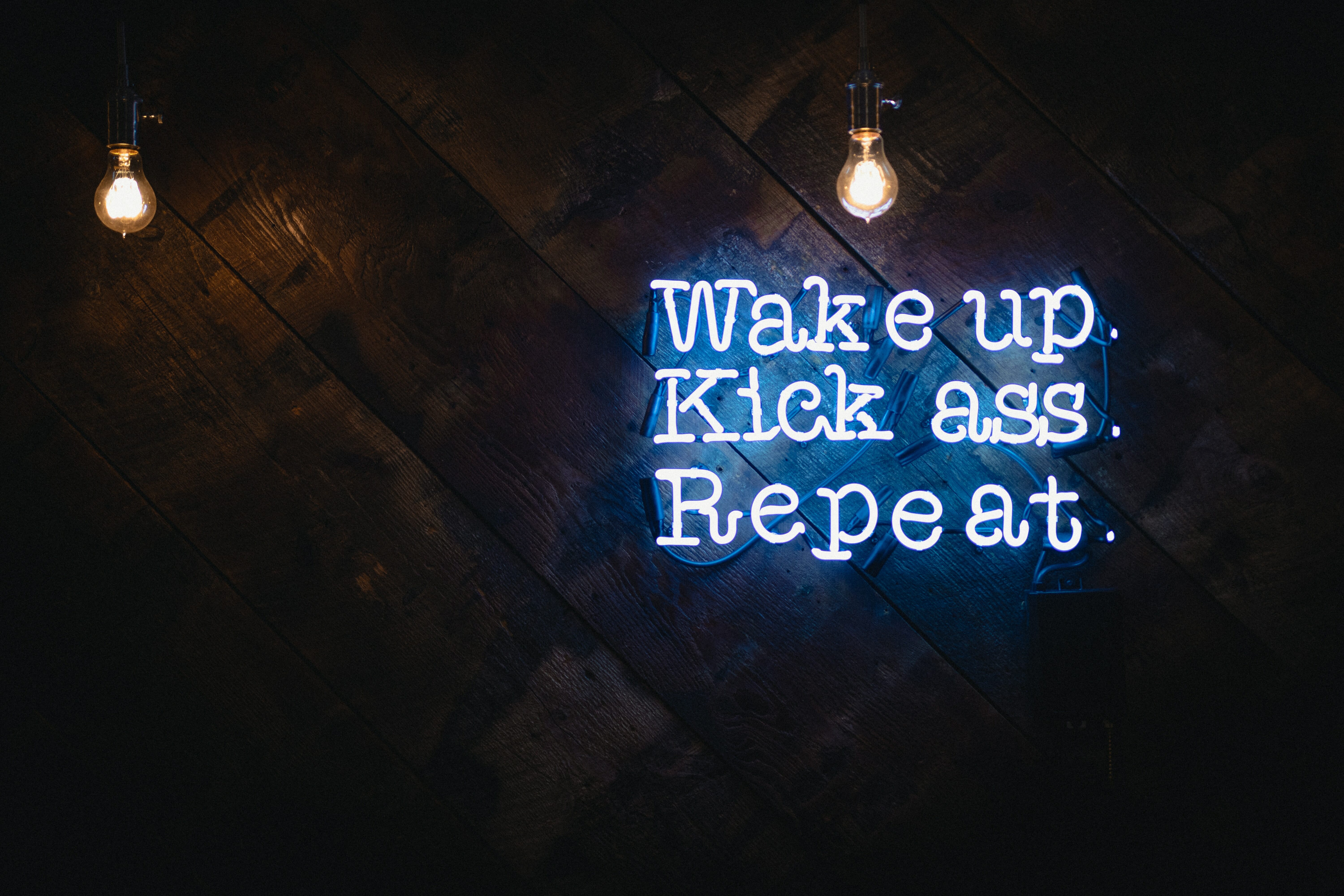 Wake up. Kick ass. Repeat.