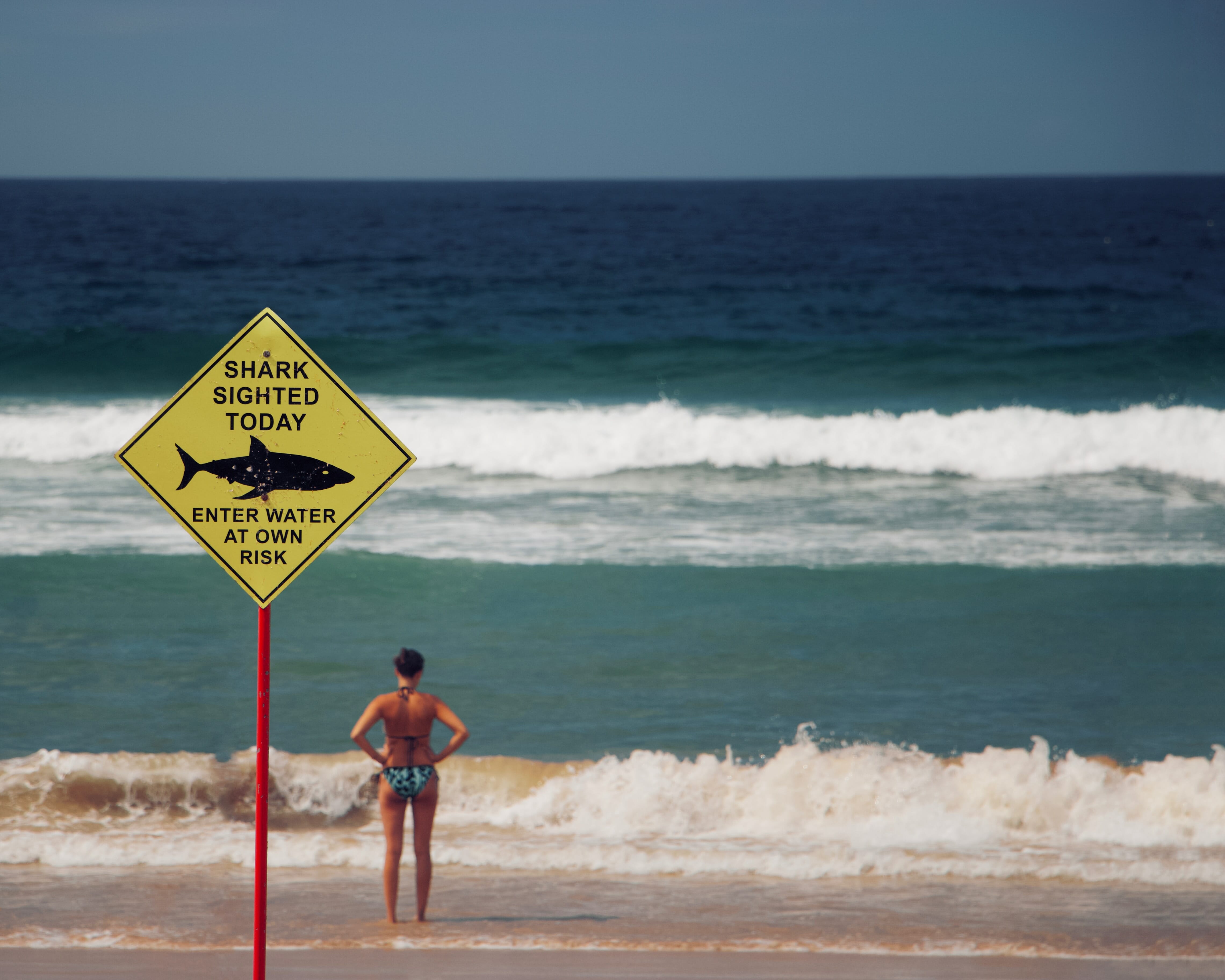 A woman in a bathing suit at the beach, standing by a warning sign about a shark sighting.