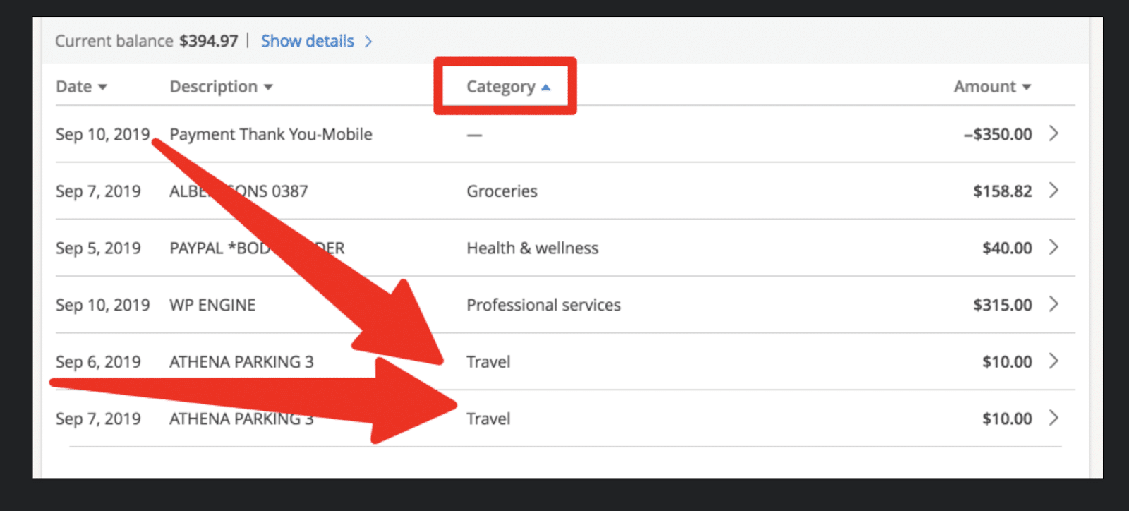 credit statement highlighting travel category