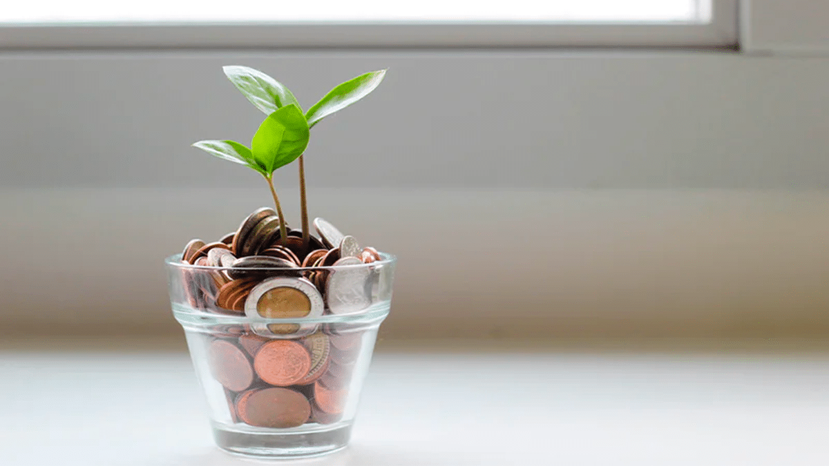 plant in piggy bank