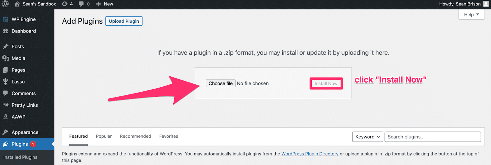 choosing file and clicking install now for aawp plugin